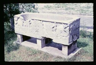 Sarkophag b. Bellevue 3.7.55.
