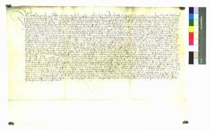 Michel Senng von Leidringen, der wegen Gotteslästerung von der Stadt Rottweil inhaftiert und auf Bitten seiner Gönner wieder freigelassen wurde, schwört Urfehde.