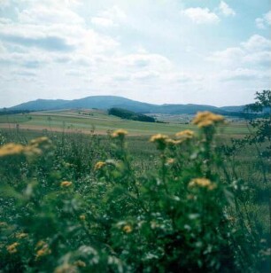 Blick vom Meißner-Vorland zum Hohen Meißner, die markanteste Erhebung zwischen Fulda und Werra