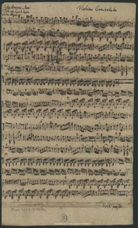 Violino Concertato.