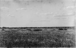 Steppenlandschaft : Die Steppenlandschaft in der Umgebung des Pangani