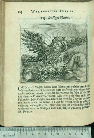 123. De Vogel Phœnix.