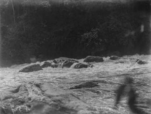 Stromschnelle : Stromschnellen im Fluss Semliki