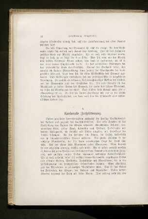 4. Kantonale Zersplitterung
