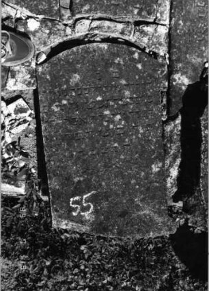 Grabstein 55 (Index: 99796377) Material: Sandstein Zustand: leicht verwittert Maße HxBxT: 0x0x0 cm Beschreibung: Stele, eingezogener Segmentbogenabschluß: Grabstein 55