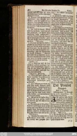 Der Prophet Haggai.