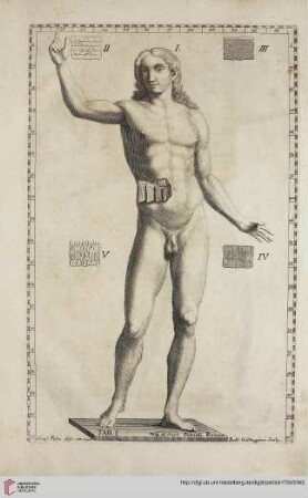 Tavole