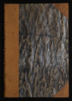 Quaestiones super octo libros Physicorum Aristotelis : Mit Text