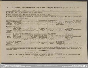 II. Calendrier entomologique pour les forets d'épicéas (et de sapins blancs)