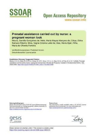 Prenatal assistance carried out by nurse: a pregnant woman look