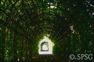 Potsdam, Park Sanssouci, Sizilianischer Garten.