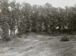 Altslawischer Wall im Klosterholz