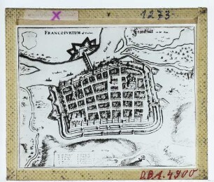 Merian, Vogelschau von Frankfurt/Oder (Druck) : Vogelschauplan