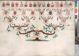 Proband: Seyssel d'Aix, Maximilian Claudius Maria Graf von; Vater: Seyssel d'Aix, Johann Claudius Graf von; Mutter: Salburg, Maria Anna Gräfin von: Mark, Grafschaft, Ritterschaft