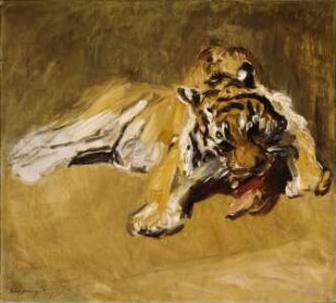 Fressender Tiger (im Frankfurter Zoo)