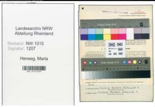 Entnazifizierung Maria Herweg , geb. 27.10.1894 (Fuersorgerin)