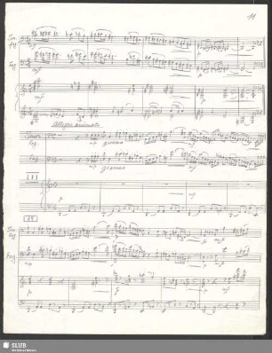 III. Allegro animato
