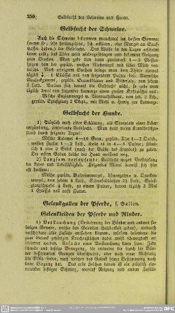 Gelbsucht der Hunde