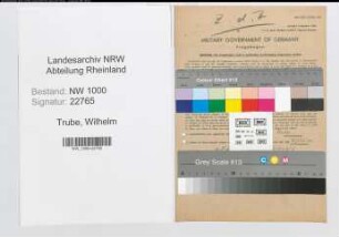 Entnazifizierung Wilhelm Trube, geb. 16.03.1903 (Hilfsarbeiter)