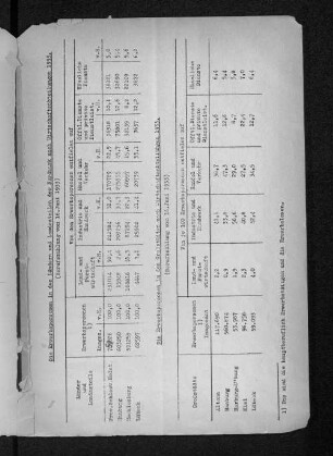 Die Erwerbspersonen in den Großstädten nach Wirtschaftsabteilungen 1933.