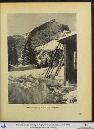 Illustration: Winterlandschaft der Vogesen.