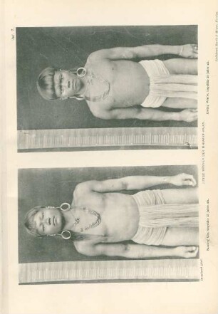 Taf. 7. Junge Männer der Mahakam-Kajan