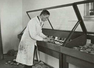 Karl Mädler in der geologischen Sammlung Seifhennersdorf : Fachschule Seifhennersdorf, Geologieabteilung der Sammlungen des Humboldt-Vereins. Karl Mädler bei der Anordnung von Fossilien an einer Ausstellungsvitrine