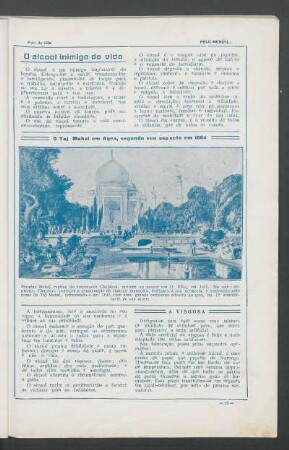 O Taj Mahal em Agra, segundo seu aspecto em 1864