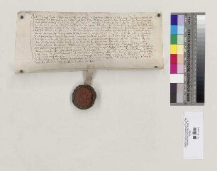Michael Stockel verkauft dem Hans Bauer aus Schwabelweis die ihm vom Abt von St. Emmeram verliehene Erbgerechtigkeit an einem Weingarten in Schwabelweis. S: Abt Eramus von St. Emmeram