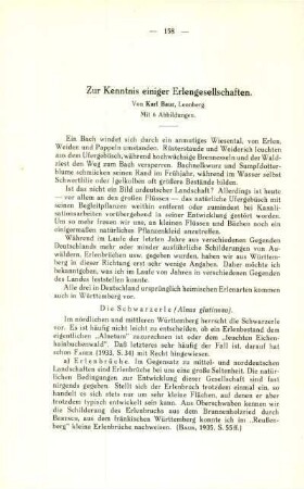 Zur Kenntnis einiger Erlengesellschaften