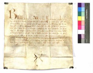 Papst Bonifazius IX. Konfirmation der päpstlichen und königlichen Privilegien und Freiheiten des Klosters Comburg