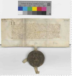 Die zwölf Ratsmannen bekunden den Verkauf an das Kloster Heiligenthal von einer Pfannenherrschaft in Udinge [Sülzhaus]. [lat]