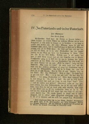 IV. Im Vaterlande und in der Vaterstadt.