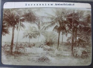 Daressalam: Araberfriedhof