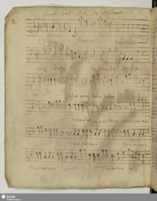 Gallus, Iacobus: Musica musarum germana