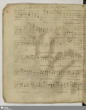 Gallus, Iacobus: Musica musarum germana