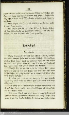 Raubvögel