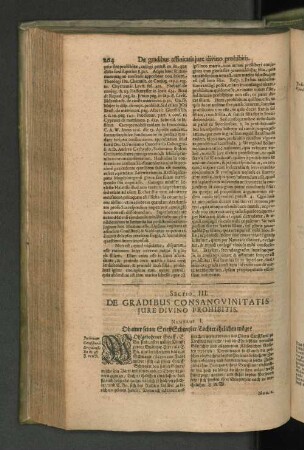 Sectio III. De Gradibus Consanguinitatis Jure divino prohibitis. Numerus I. Ob einer seiner StieffSchwester Tochter ehelichen möge?