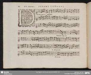 XV. Dominus regnavit exultet terra