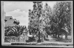 Rialto. A Residence Street in Rialto, Cal.