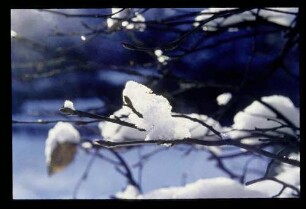 Winter 4.1.70.