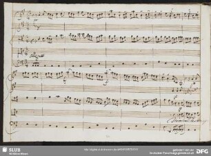 Aria: Fiumicel che s'ode appena