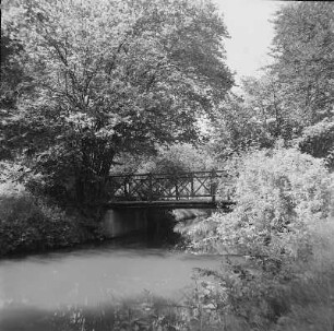 Branitzer Park