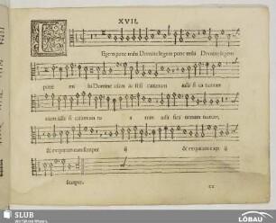 XVII. Legem pone mihi Domine