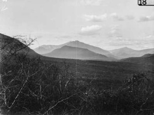 Landschaft : Blick durch die Baumwipfel auf die bergige Landschaft