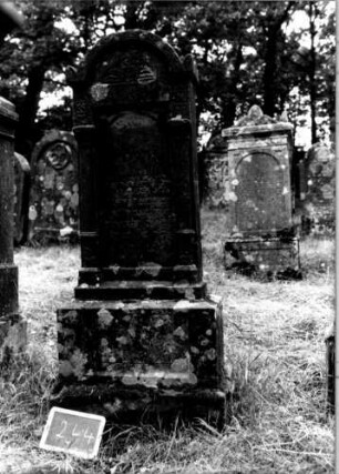 Grabstein 244 [Nir S. 162 Nr. 15.18]