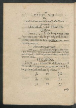 Caput VIII. De Literarum mutatione & abjectione generali.