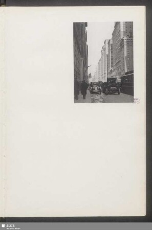 Madison-Avenue