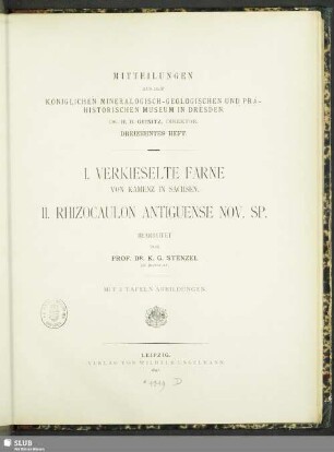 13.1897: Mittheilungen aus dem Königlichen Mineralogisch-Geologischen und Prähistorischen Museum in Dresden