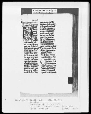Brevier — Initiale D(ixit dominus), Folio 310recto